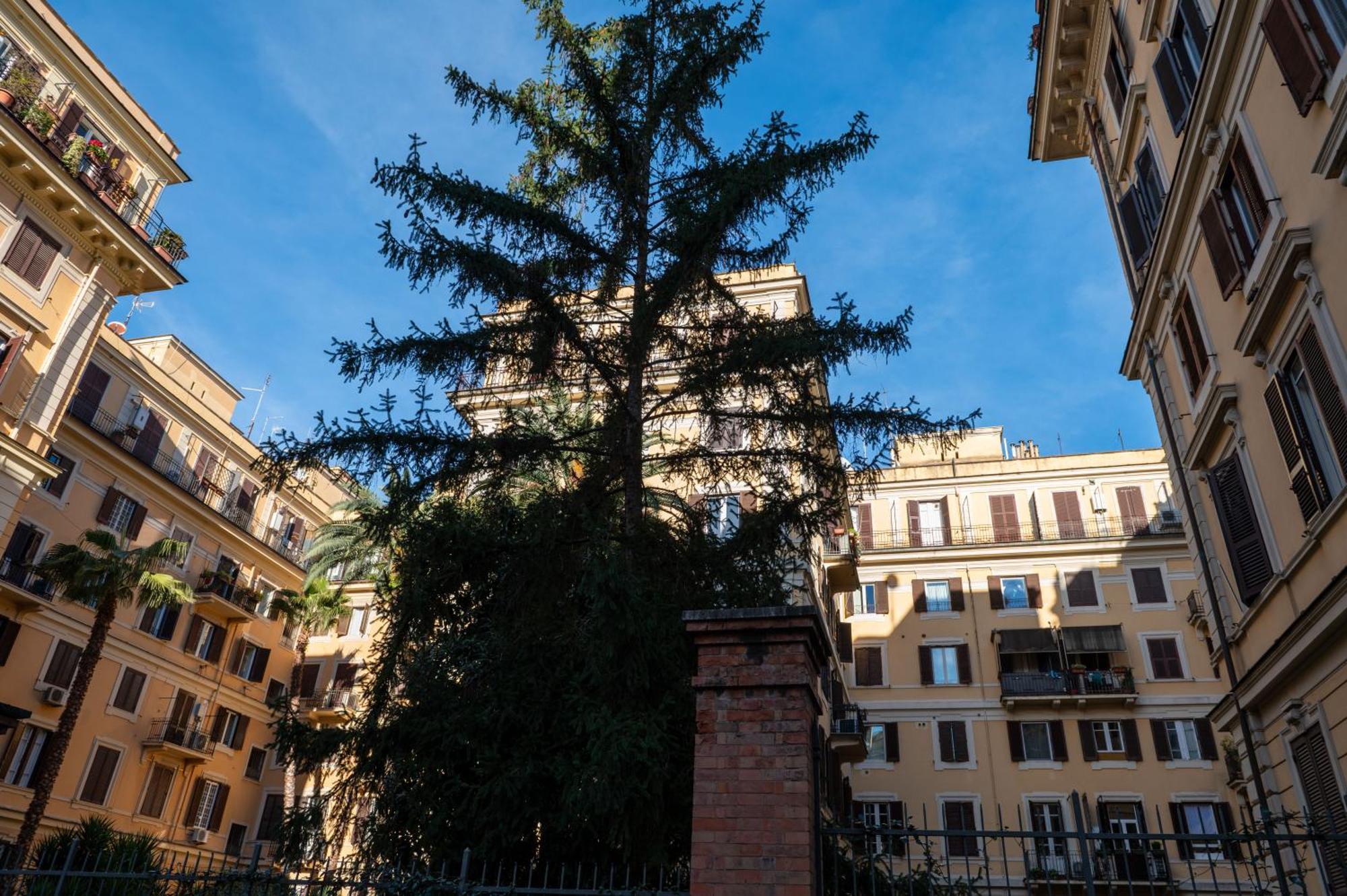 Lejlighed Borghese Design *